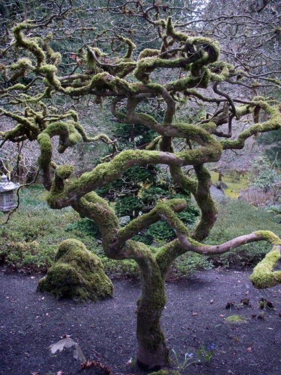 1c7152b772c262345bc56e2319e982a9