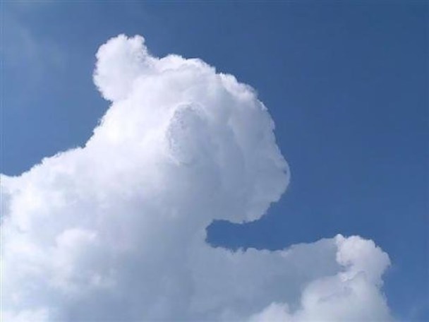 clouds-that-look-like-animals-14