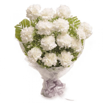 White Carnations-800x800