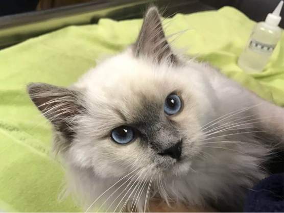 16681926_1656907901002927_3160468089310427221_n