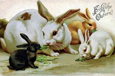 51XDXeSGfoL._AC_SX466_